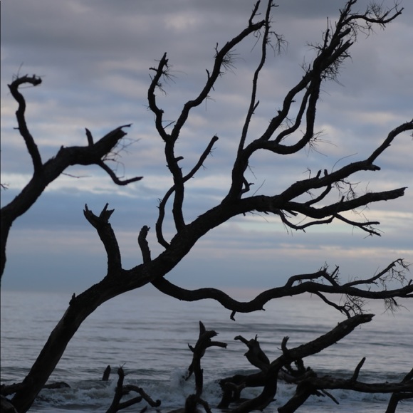 Meet your Posher, Heather - Picture 1 of 1